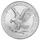 2026 1 oz American Silver Eagle Coin